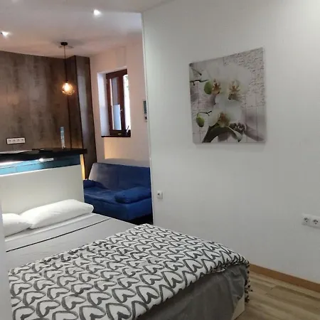 Altozano Iii, Estudio Centro De Gayfriendly, Wi-fi Gratis 公寓 *